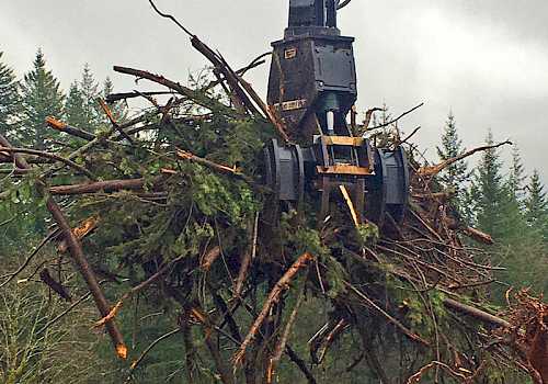 t-mar-grapple-brush-rake.500x350p50x50