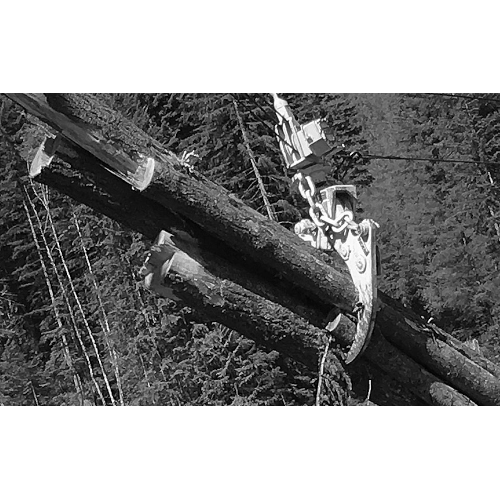 t-mar-log-grapple