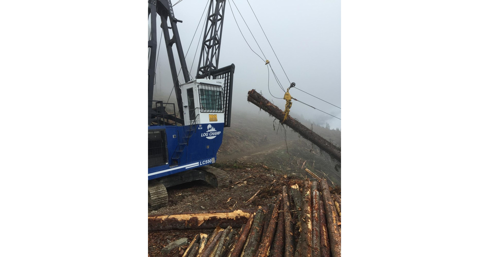 t-mar-log-champ-logging