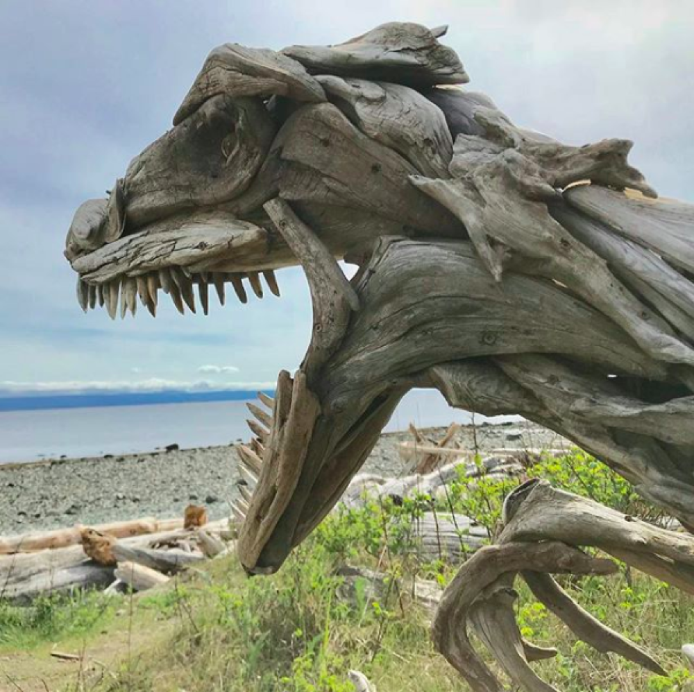 driftwood