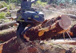 t-mar-grapple-saw.500x350p50x50-300x210 t-mar-grapple-saw.500x350p50x50-300x210